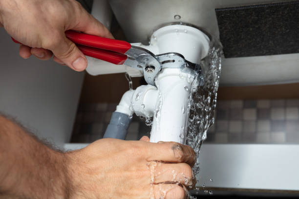 Best Mold removal after water damage  in Flora, AL