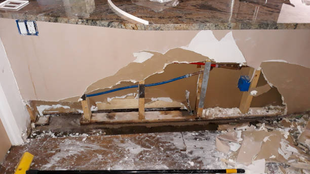 Best Carpet water damage restoration  in Flora, AL