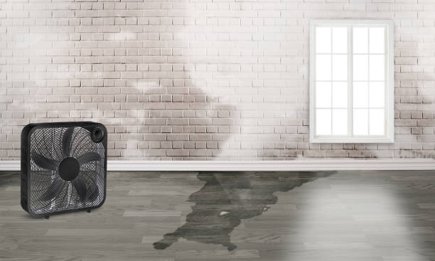 Best Flooded house restoration  in Flora, AL
