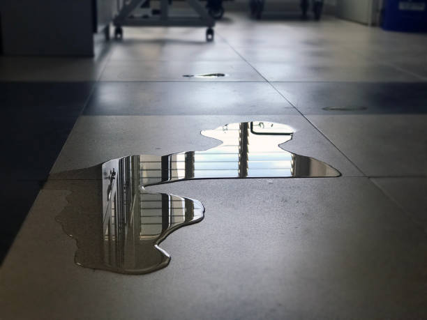 Best Water damage mitigation services  in Flora, AL