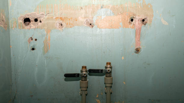 Best Water damage restoration mold remediation  in Flora, AL