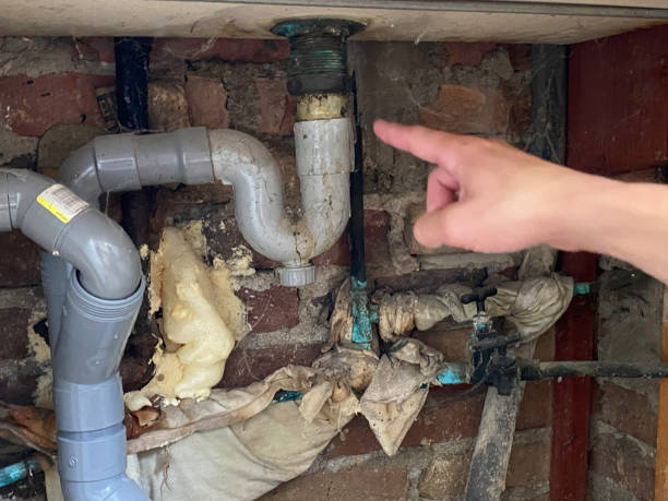 Best Water damage cleanup near me  in Flora, AL